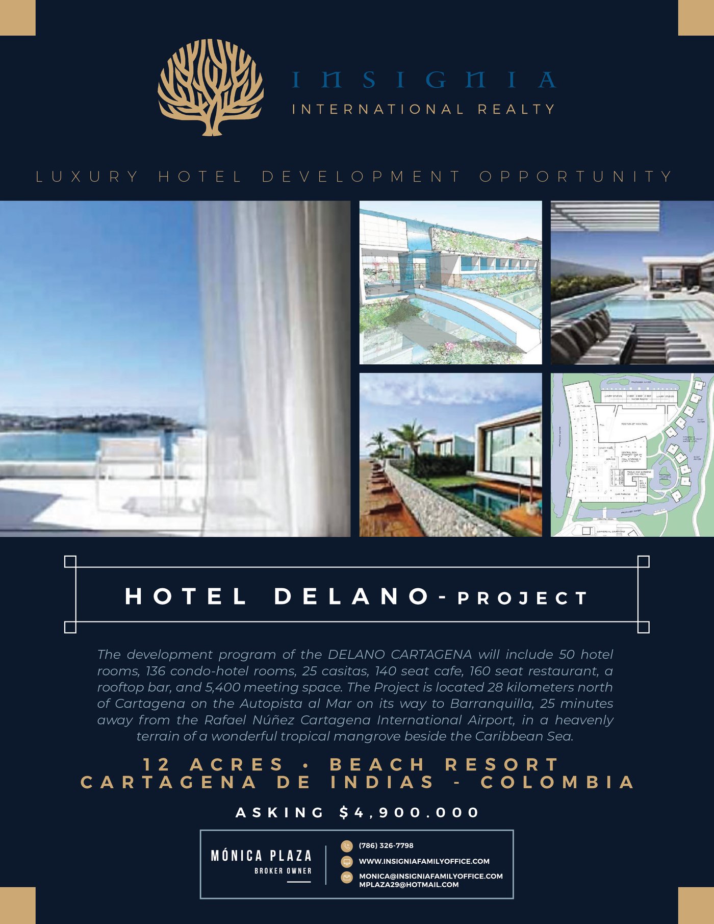 Insignia International Realty listing sheet for Hotel Delano, Cartagena
