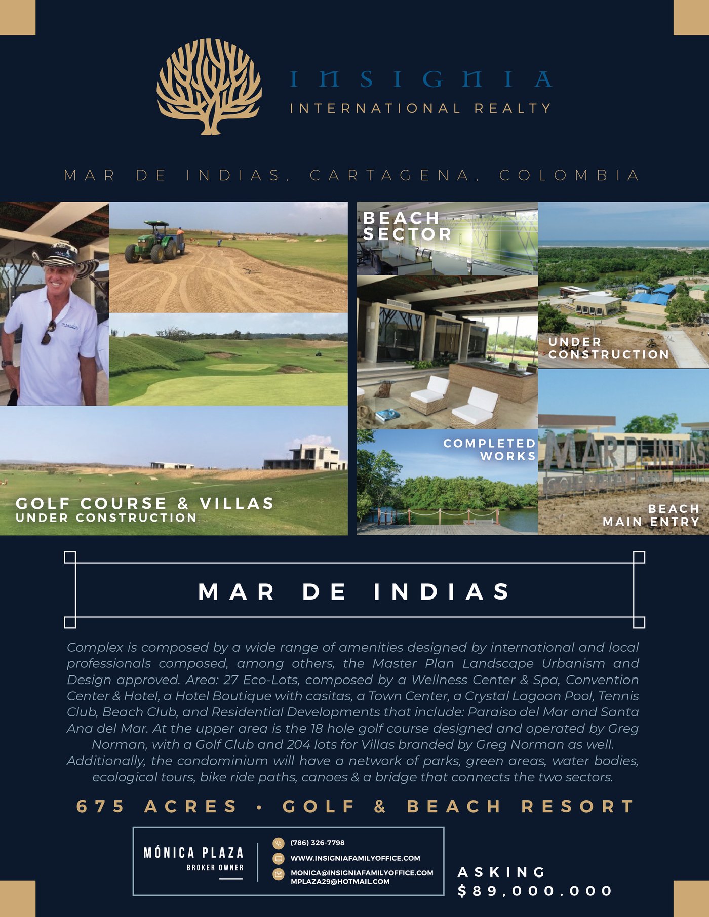 Insignia International Realty listing sheet for Mar de Indias